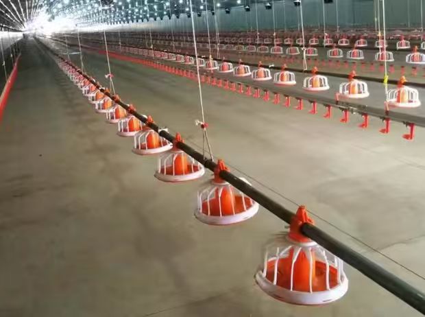 Automated Floor Feeding Pan  (Industrial)