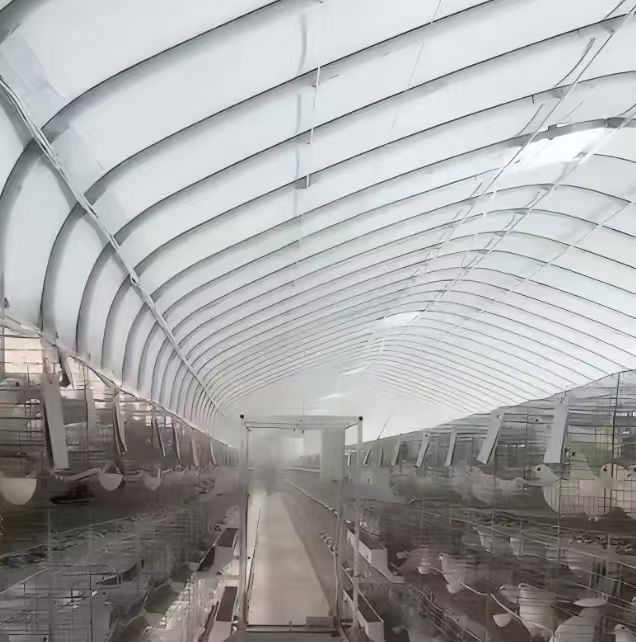 Poultry breeding greenhouses