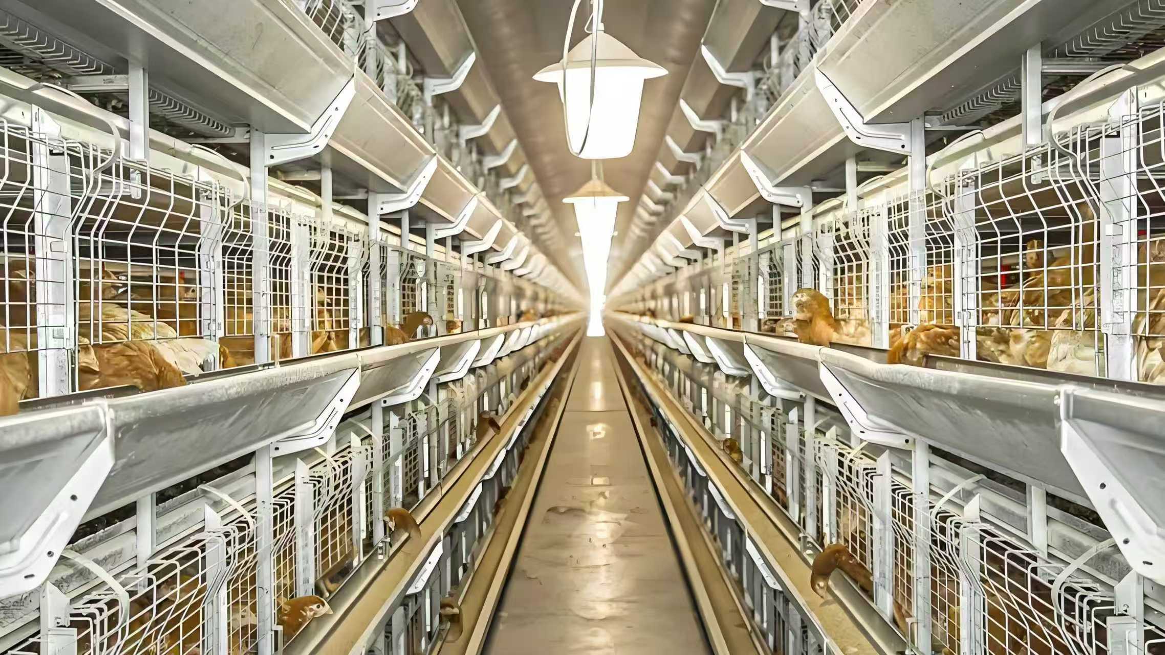 通栏图片